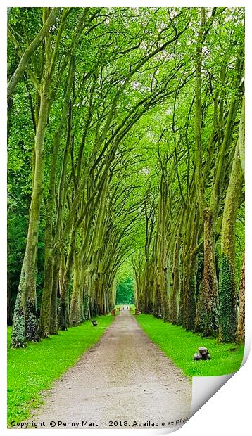 Avenue of Trees Print by Penny Martin