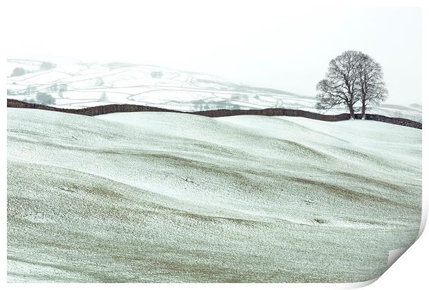 Winter in Wensleydale, Yorkshire Dales  Print by Wendy McDonnell