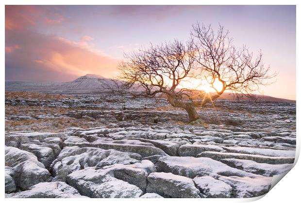 Sunrise, Twistleton Scar, Yorkshire Dales Print by Wendy McDonnell