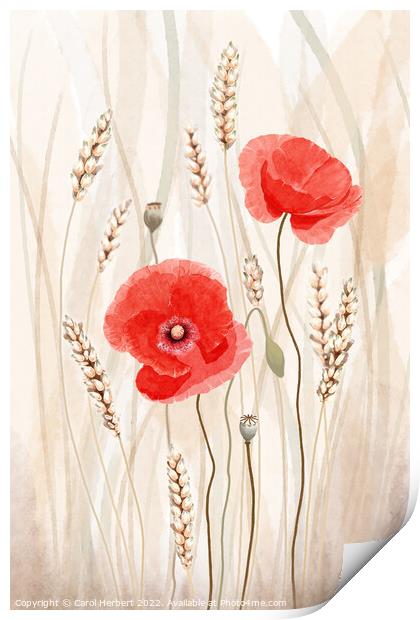 Poppies and Corn Original Art Print by Carol Herbert