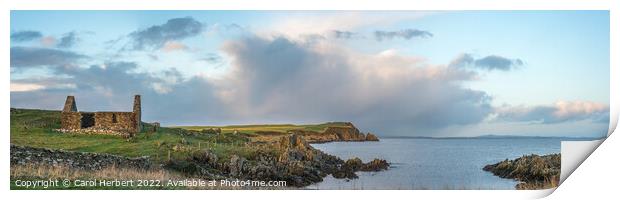 St Ninian's Chapel, Isle of Whithorn Print by Carol Herbert