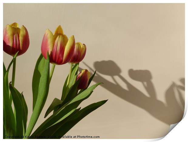 Tulip Shadows Print by Karen Spence