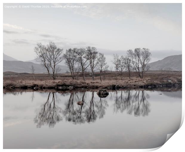 Bare Birch trees reflecting in the cold waters of Loch Ba on Rannoch Moor Print by David Thurlow