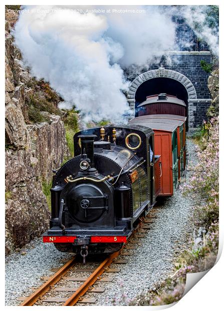 Ffestiniog Railway locomotive, Welsh Pony, exits Moelwyn Tunnel. Print by David Thurlow