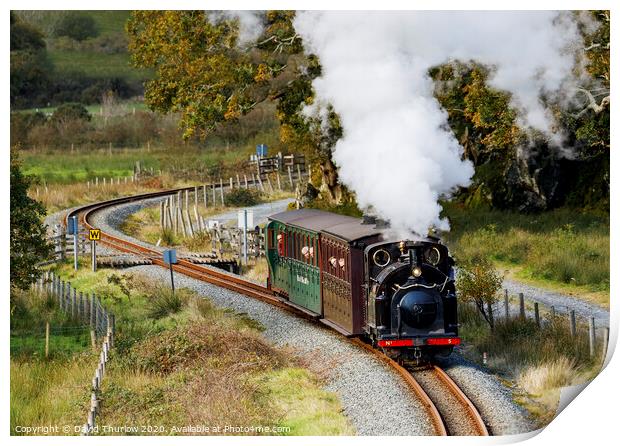 Welsh Pony on the Welsh Highland Railway Print by David Thurlow