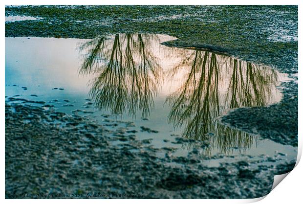 Reflection Print by Gary chadbond