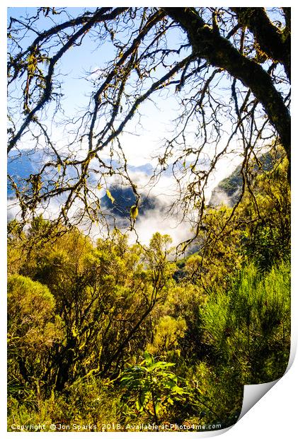 Cloud forest, Madeira Print by Jon Sparks