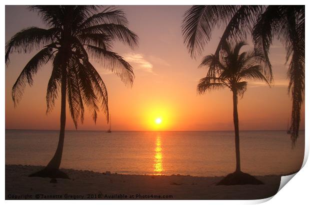 Cuban Sunset Print by Jannette Gregory