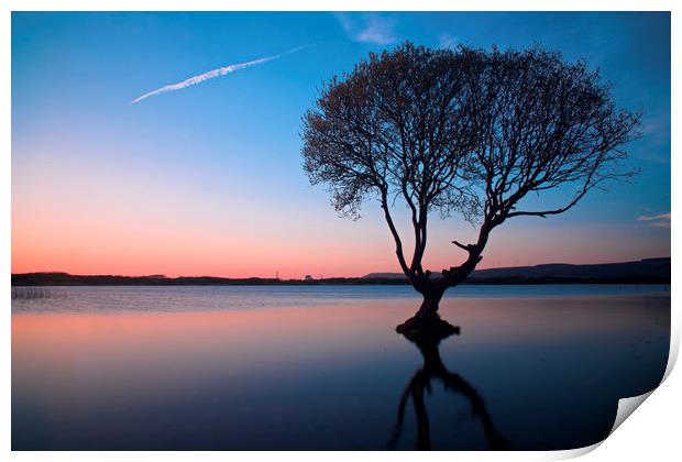                                The Lonely Tree Print by jason jones