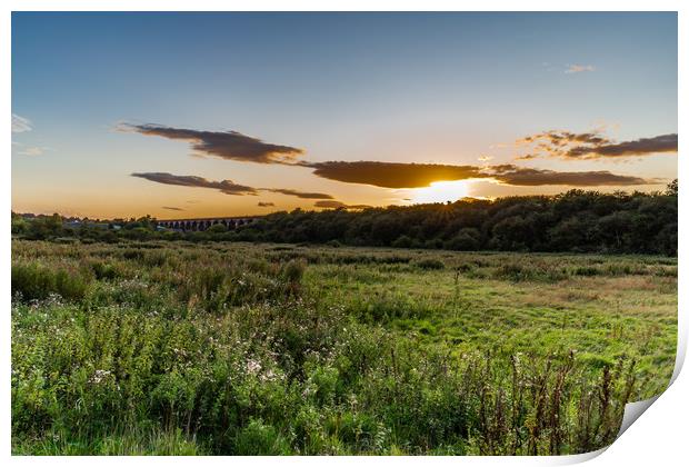 Frodsham Railway Viaduct Print by Carmen Goulden