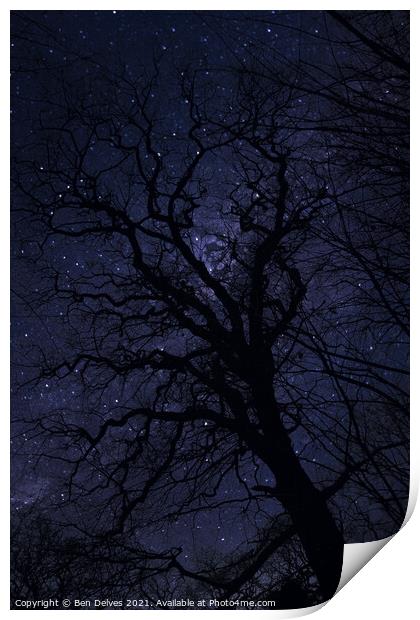 Enchanted Tree Print by Ben Delves