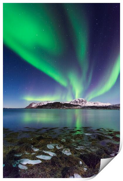 Lofoten lights Print by Lukasz Lukomski