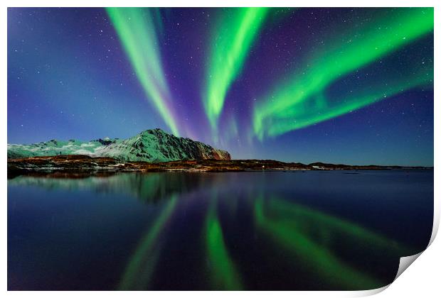 Northern lights in Lofoten Print by Lukasz Lukomski