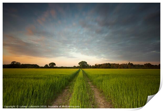 Outdoor field Print by Lukasz Lukomski