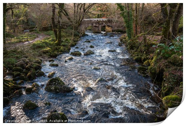 River Plym at Shaugh Bridge Print by Jean Fry