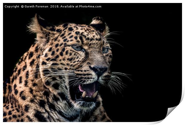 North Chinese Leopard Print by GadgetGaz Photo