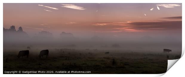 Mist on the marshes. Print by GadgetGaz Photo