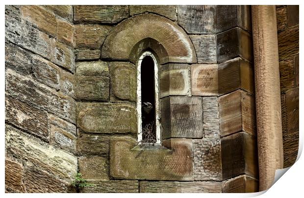 Gothic Window  Jackdaw Print by Ste Jones