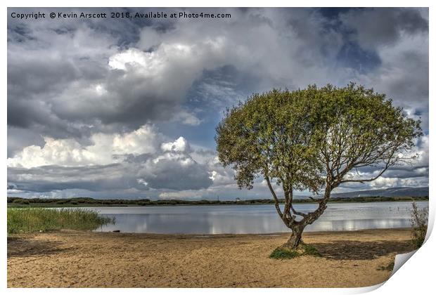 Lonely Tree, Kenfig Pool, South Wales Print by Kevin Arscott