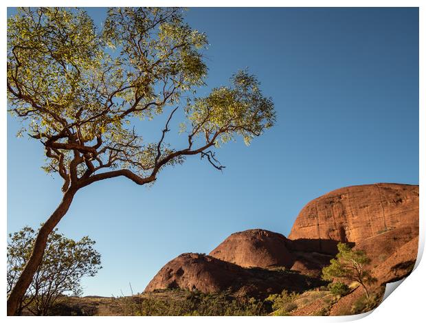 Valley of the Wind, Kata Tjuta in the morning sun  Print by Sophie Shoults