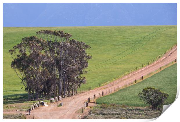 Swellendam farm track and background mountain Print by Childa Santrucek