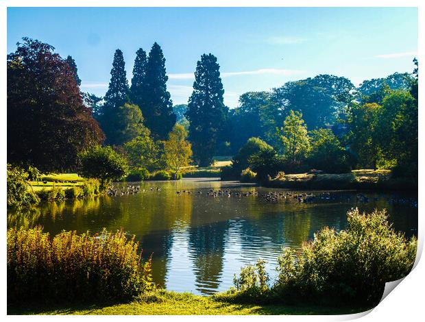 Majestic Waters of Sandringham Print by Simon Hill