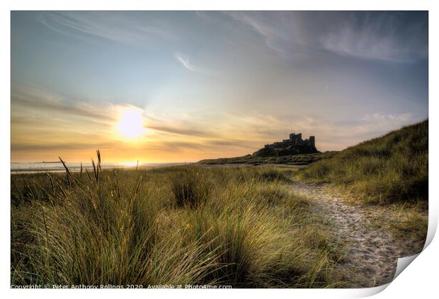 Bamburgh Castle Print by Peter Anthony Rollings