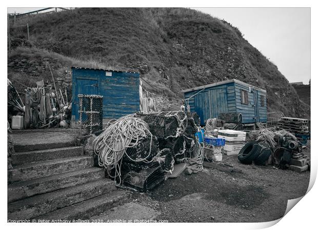 St Abbs Print by Peter Anthony Rollings