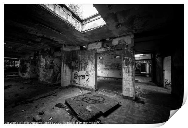 dereliction Print by Peter Anthony Rollings