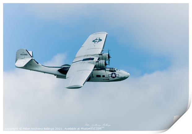 Catalina Print by Peter Anthony Rollings