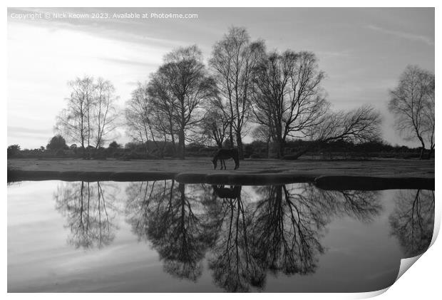 Fritham New Forest Print by Nick Keown