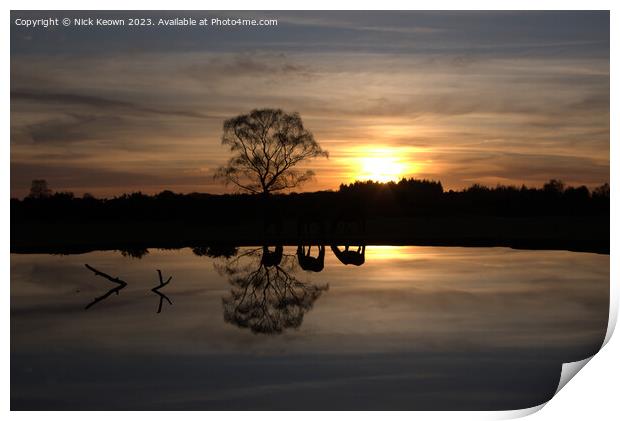 New Forest Winter Print by Nick Keown