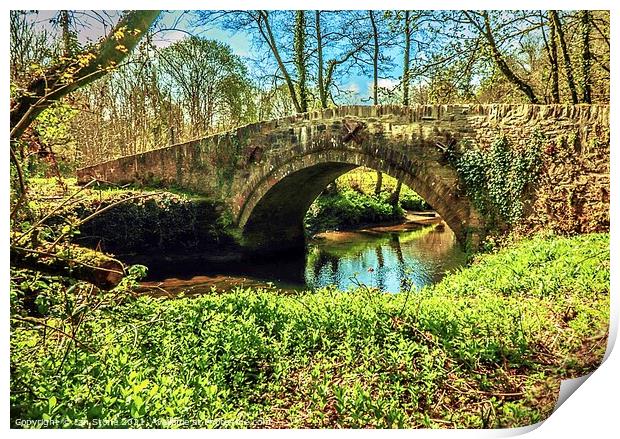 Bridge over the Avon Print by Ian Stone