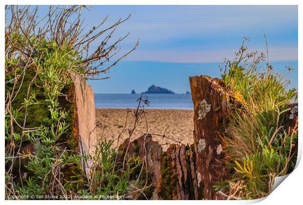 Slapton Sands beach  Print by Ian Stone