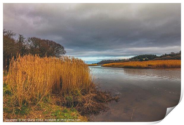 Teign Estuary  Print by Ian Stone