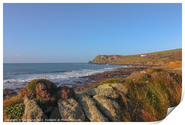 Devon Coast  Print by Ian Stone