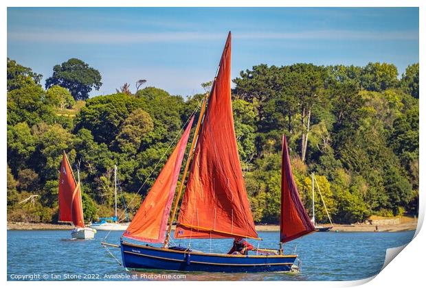 Sailing on the river Dart  Print by Ian Stone