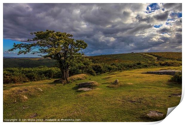 Beautiful Dartmoor  Print by Ian Stone
