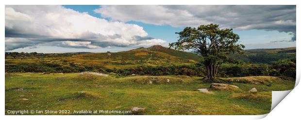 Dartmoor panorama  Print by Ian Stone