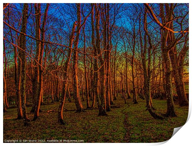 Majestic Winter Woodland Sunset Print by Ian Stone