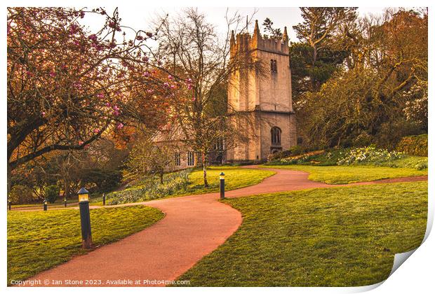 Cockington Church at Springtime  Print by Ian Stone