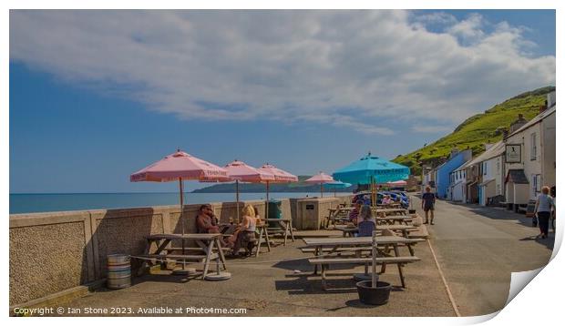 Beautiful Beesands Print by Ian Stone