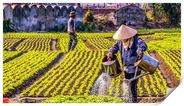 The Women of Vietnams Crop Fields Print by Ian Stone