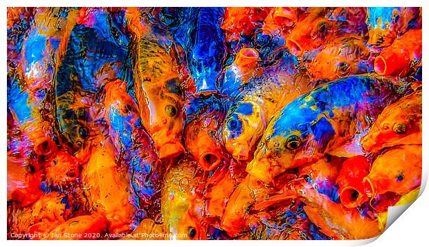 Fish Feeding frenzy  Print by Ian Stone