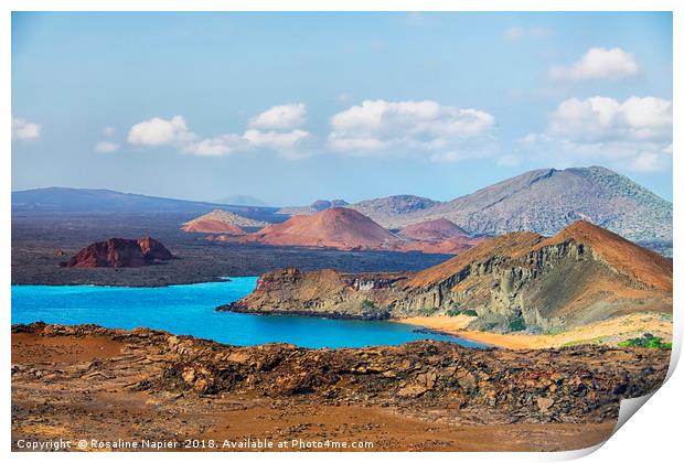 Galapagos landscape Print by Rosaline Napier