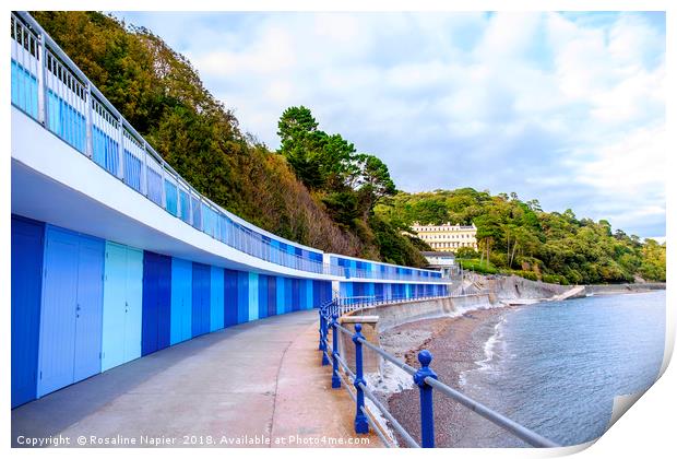 Torquay beach huts Print by Rosaline Napier