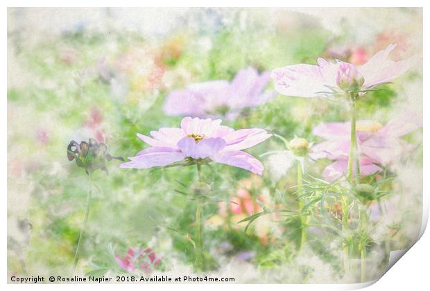 Summer wildflowers landscape Print by Rosaline Napier