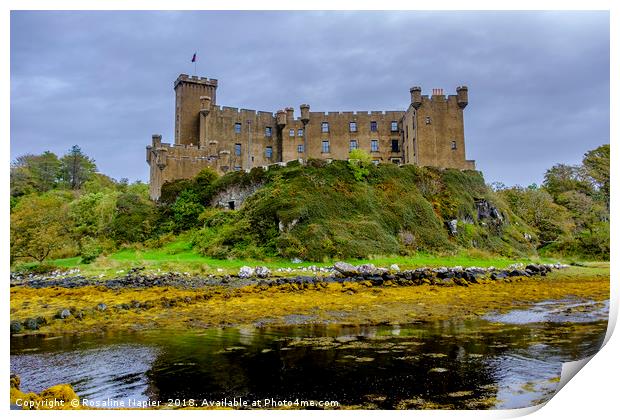 Dunvegan Castle Skye Print by Rosaline Napier