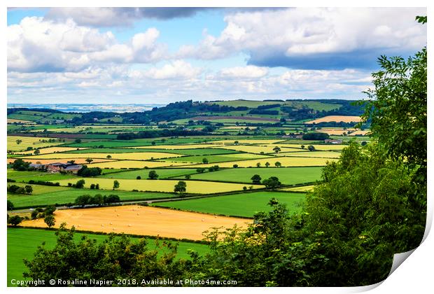 North Yorkshire countryside landscape Print by Rosaline Napier