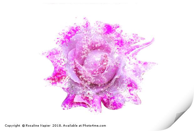 Pink rose heavy paint splatter effect Print by Rosaline Napier